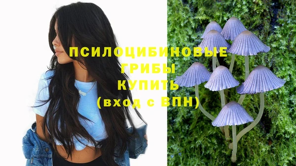 MDMA Premium VHQ Саяногорск