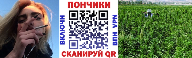 Марихуана Amnesia Купить закладки Кирс